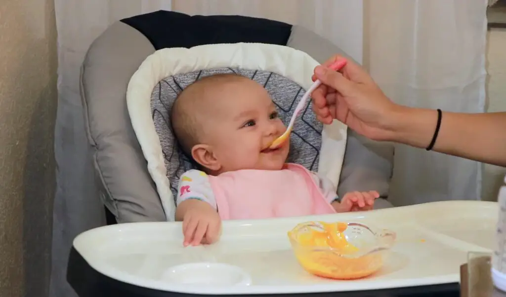 Organic Vs. Conventional Baby Foods